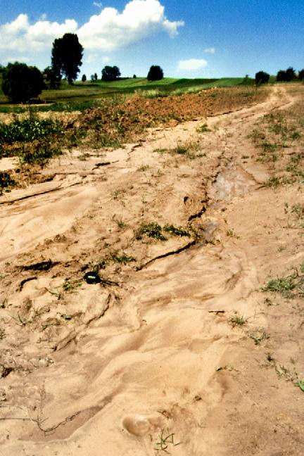 deniwelacjach (np.