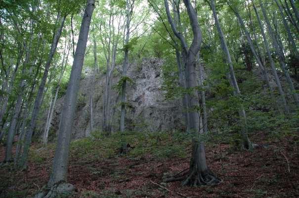 OGT Góra Miłek w Wojcieszowie Obejmuje skałki i jaskinie położone na zboczach i szczytach góry Miłek (Młyniec - 573 m n.p.m., Cisowa - 596 m n.