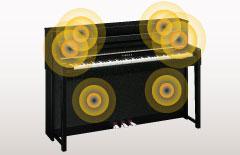 Informacje o produkcie Rezonans całej obudowy - typowa cecha fortepianów akustycznych Podobnie jak w akustycznym fortepianie, Clavinova przechodzi dokładne testy i kalibracje w celu uzyskania