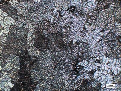 10 Fig. 8. Microstructure in the longitudinal section of the non-homogenized ingot from 7010 alloy, middle of ingot, 200 Rys. 8. Mikrostruktura na przekroju podłużnym wlewka niehomogenizowanego ze stopu 7010, środek wlewka, 200 200 Fig.