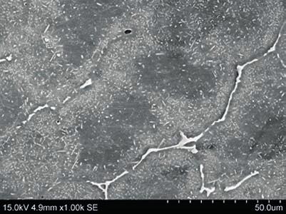 Z. Kwak, A. Garbacz-Klempka, M. Perek-Nowak: Microstructure of selected 7xxx series aluminum alloys obtained by Fig. 17.