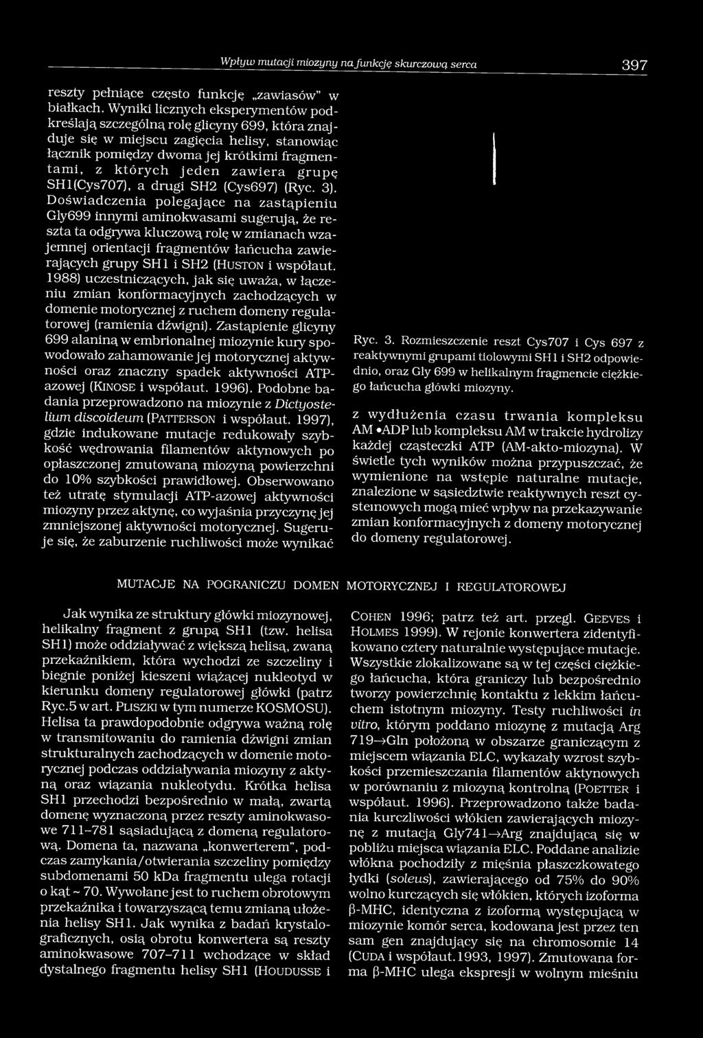 grupę SHl(Cys707), a drugi SH2 (Cys697) (Ryc. 3).