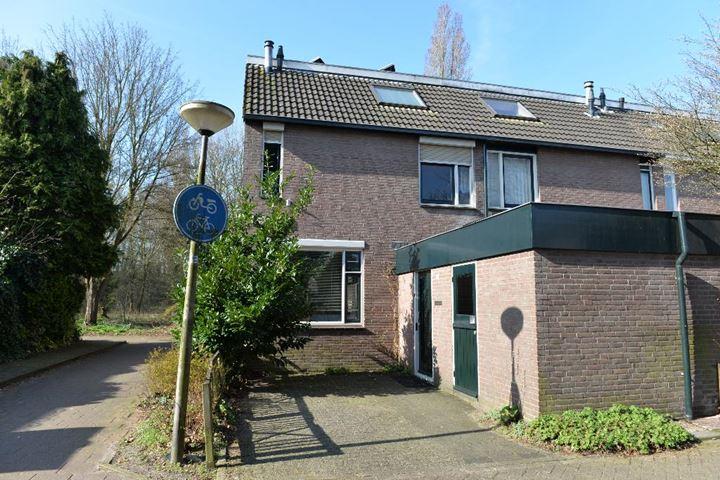 Boekweitdonk 50