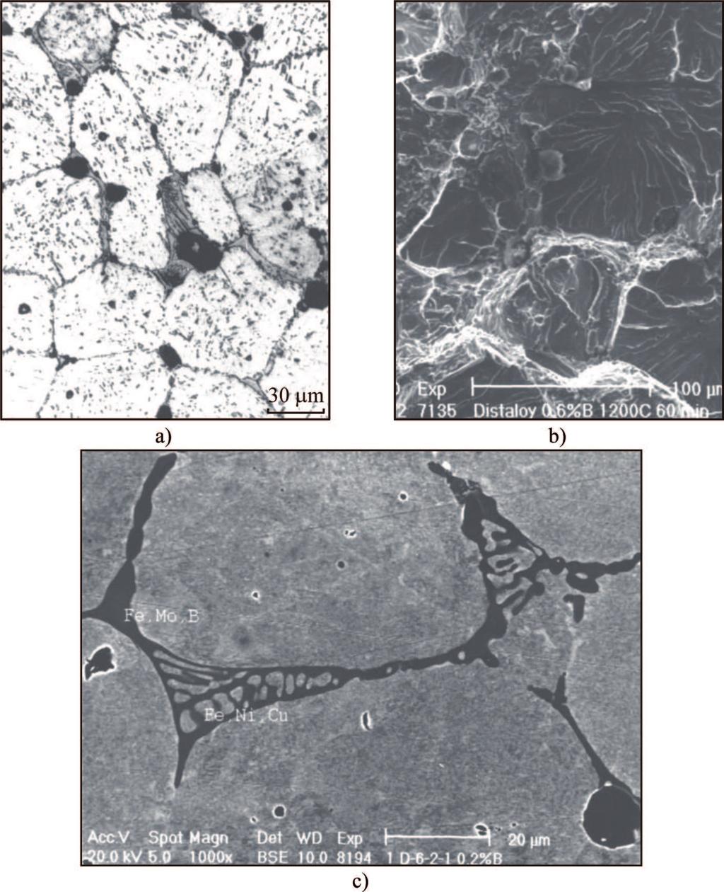 793 Fig. 5. Distaloy SA sinter with 0.6 % B a) microstructure a light microscopy, b) fracture SEM, c) EDX. Sintering parameters: 14