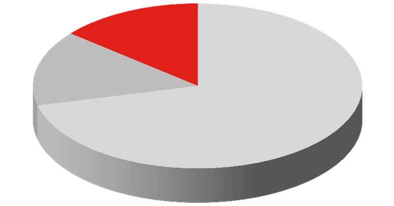 Fundusze inwestycyjne Fundusze inwestycyjne - wolumeny (mln zł) +9,8% +2,1% 21 176 5 364 22 784 23 256 6 085 6 168 Struktura aktywów PPIM SA 15 812 16 699 17 088 15% 14% Cze 16 Mar 17 Cze 17 71% Inne