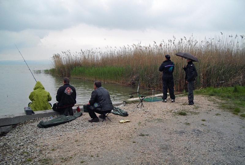 - A Wy dokąd? - A my nad Balaton - odpowiadam. Życzymy sobie szerokiej drogi i ruszamy, bo nasze czekanie aż ustanie deszcz jest bezcelowe. Teraz naszym celem jest Siófok a potem Zamárdi.