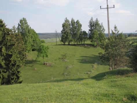 .) Dane przekazane do systemu EGISET* liczba obiektów Rośliny użytkowe, dzicy krewniacy i rośliny nasiona paszportowe 39 towarzyszące Miejscowe populacje żyta i krzycy.