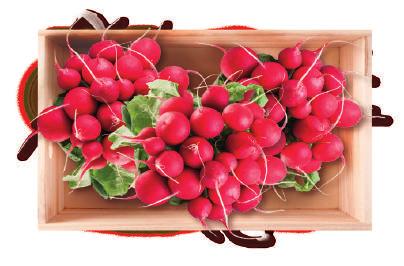 Mistrzowskie 1 kg