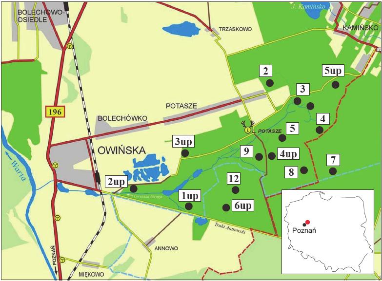 1598 Sylwester Grajewski, Antoni T. Miler, Anna Krysztofiak-Kaniewska 3.