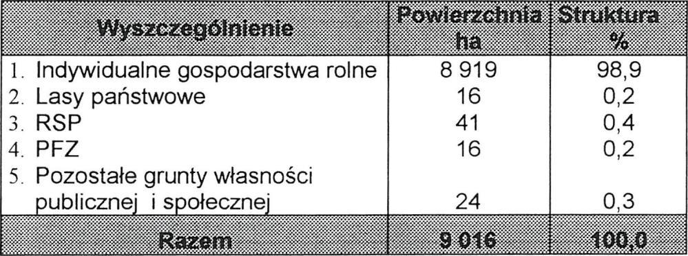 43 Stan własności użytków rolnych Stan władania użytków rolnych oraz ich strukturę wg głównych grup użytkowników przedstawia poniższe zestawienie: Dominującą formą własności jest