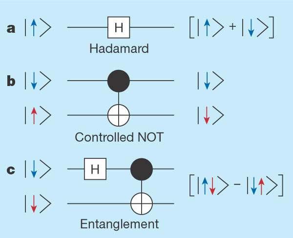 ramki kubitowe ramki kubitowe ψ > ψ > ψ > ψ N > U =U D Program: U =U CNOT * U CNOTN U 3 = U CNOT U =U - U 5 =U - =U D Measurement Quantum computing: The qubit duet Gianni latter Nature, 96-9 (