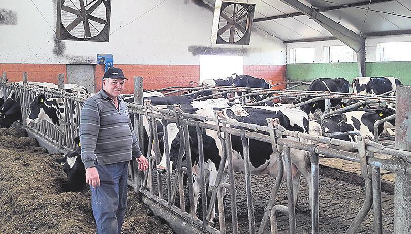 Był wtedy najmłodszym uczestnikiem kursu inseminacyjnego. Z pomocą doradców hodowlanych z filii w Wągrowcu wprowadził w gospodarstwie własny program hodowlany. Uzyskał już pierwsze wyniki tej pracy.