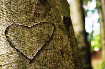 O nas KORA Ochrona drewna Najwyższa jakość Szeroki asortyment produktów Indywidualne doradztwo KORA to Kurt Obermeier Raumland i ponad 65 lat doświadczeń w ochronie drewna.