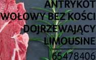 BOHUN 66752452 19 99 z