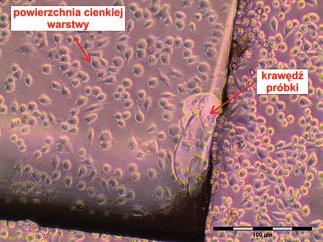 Biologiczne cienkowarstwowe powłoki układu typu Cu Ti 139 a) b) Ryc. 4.