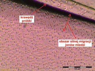 Results of cytotoxicity investigations of Cu Ti thin films as-deposited on a Corning 7059 glass substrate, which were performed with the use of L 929 (NCTC clone 929) cell line ty (o powierzchni 1 cm