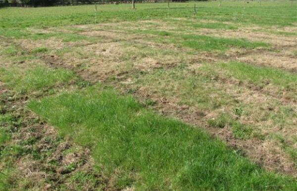 php?p=endophytes https://agrihq.
