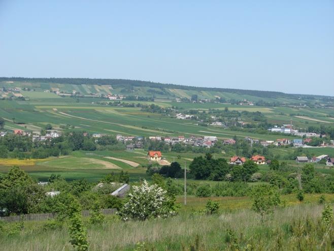 W latach 2007 2009: