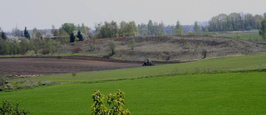 substrate. The development of vegetation cover was found to be irregular. Similarly, microbiological parameters of soil showed also significant differences between two investigated heaps.