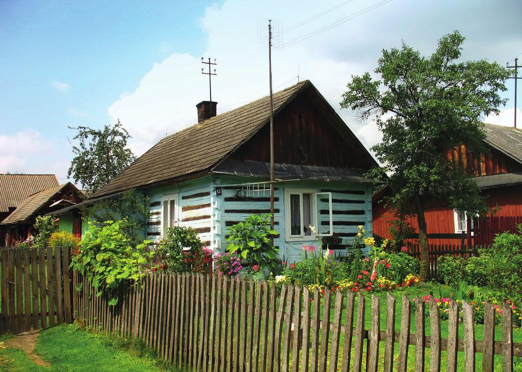 B. Sowińska / Photo: B. Sowińska Ryc.