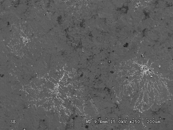 NaCl, wykonane przy powiększeniach a) 250 x, b) 1000 x a) b)