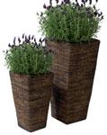 79,95 40,- 13x18 cm DO 12,95 6,50 24x30 cm DO 22,95 11,50 30x40 cm DO
