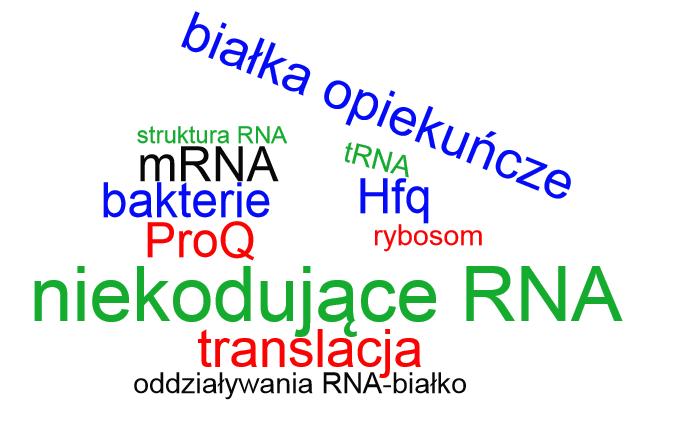 Zakład Biochemii Tematyka badań: słowa