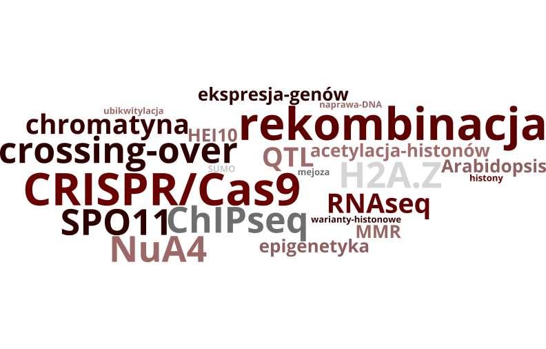 Zakład Biologii Genomu Tematyka badań: