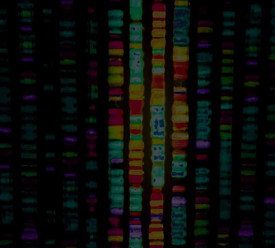 ZAKŁAD BIOLOGII OBLICZENIOWEJ kierownik zakładu: prof. dr hab.
