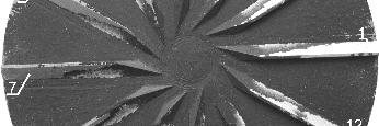 Mustard seed and rapeseed impact area with hulling machine disk: 1 impact area (light colour) Rys. 3.