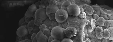 Punkt 1 Punkt 2 Rys. 8. Morfologia ziaren i skład chemiczny w mikroobszarach dla mikrosfer po hydrotermalnej alkalicznej aktywacji w roztworze wodorotlenku sodu o stężeniu 5M.