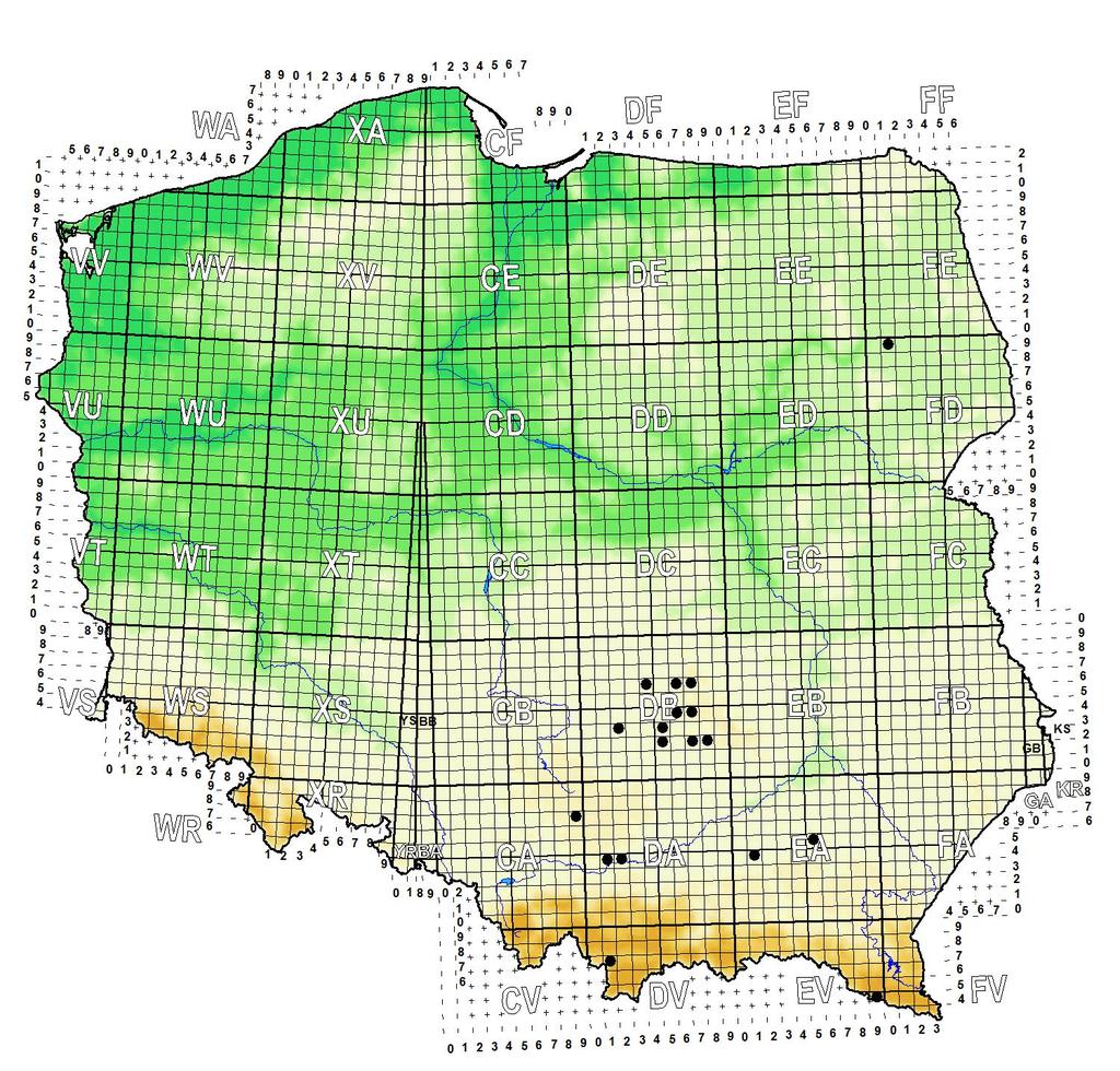 Występowanie rączycy wielkiej związane jest z obecnością odpowiednich siedlisk (łąki, polany, torfowiska i wrzosowiska na skraju lasu), które często zlokalizowane są w obrębie obszarów chronionych, w