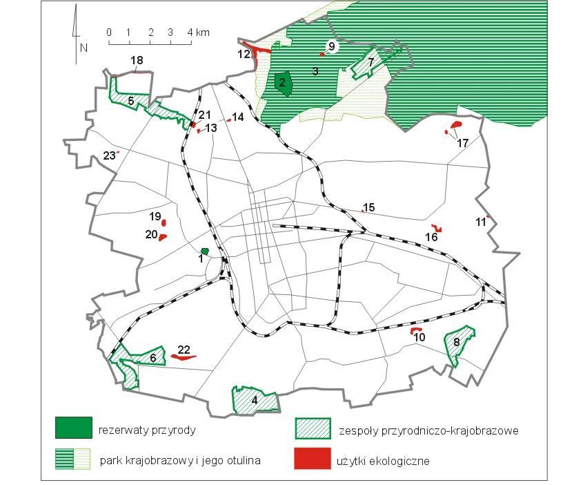 odnotowano stanowisko jednego z najstarszych i najbardziej okazałych na terenie miasta okazu kwitnącego i owocującego bluszczu pospolitego.