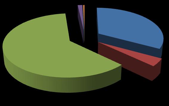 61,23% 1,34% 0,00% 0,39% 33,05% 3,99% energia elektryczna gaz ziemny ciepło sieciowe olej opałowy drewno węgiel kamienny Rysunek 28.
