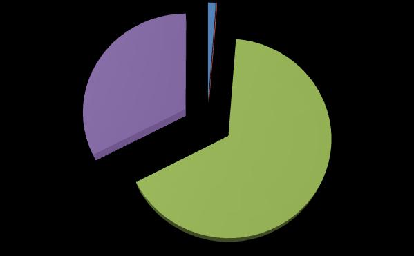 1,22% 0,07% 32,61% 66,11% benzyna LPG olej napędowy energia elektryczna Rysunek 33.