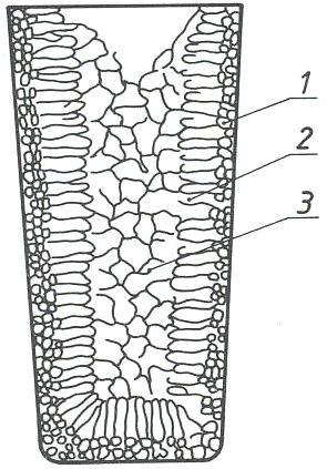 Struktura pierwotna struktura utworzona podczas krystalizacji.
