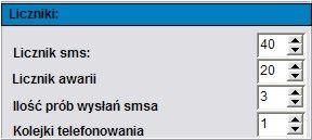3 LICZNIKI Zakładka pozwala na określenie ilości wysyłanych SMS-ów, połączeń telefonicznych. Liczniki mogą służyć także jako ograniczenie kosztów przy awaryjnych stanach urządzeń wejściowych (np.