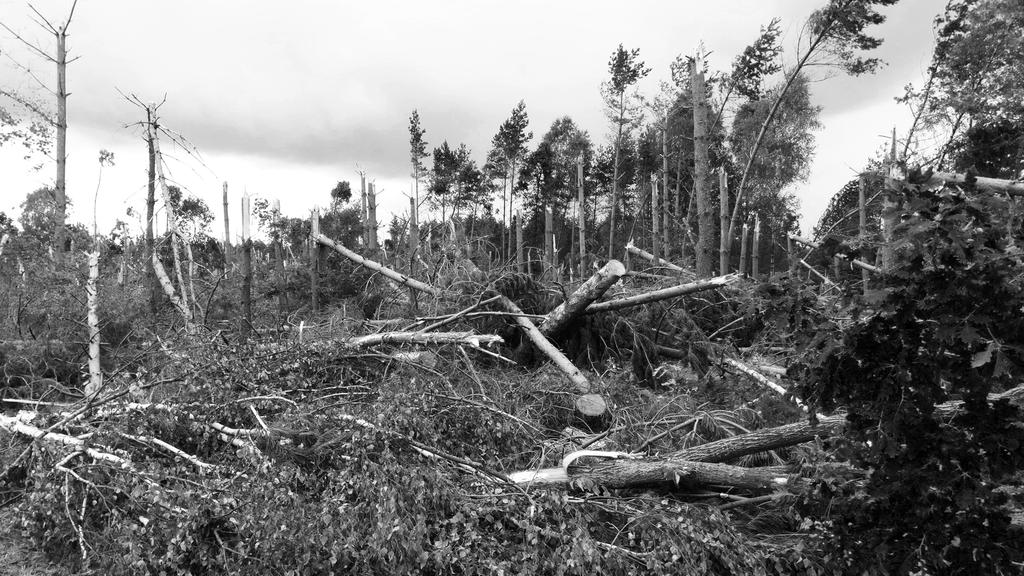 2 W wyniku gwałtownych zjawisk atmosferycznych zginęło 5 osób, a ponad 50 zostały rannych. ZGINĘŁO 5 OS. 50 OS. RANNYCH ZNISZCZONY REZERWAT BIOSFERY UNESCO 32 TYS.