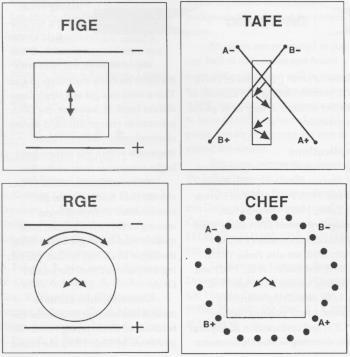 CHEF Cantour-Clamped Homogenous Electric Field Electrophoresis Elektroforeza w zmiennym, homogennym polu elektrycznym o kształcie sześciokąta foremnego