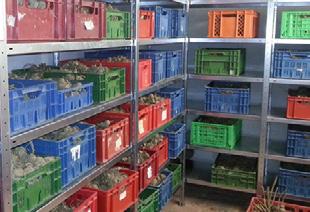 w Shree Peetha Nilaya Prace budowlane ukończone w ciągu ostatnich 12 miesięcy Pokój do przeprowadzania obrzędu chrztu Ukończyliśmy budowę nowego pokoju do przeprowadzania chrztu.