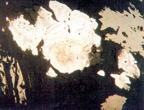pentlandyt (Pn) zastêpowany przez magnetyt (szary) w pirotynie (Po) i chalkopirycie (Cp), blok gnejsowy Gór
