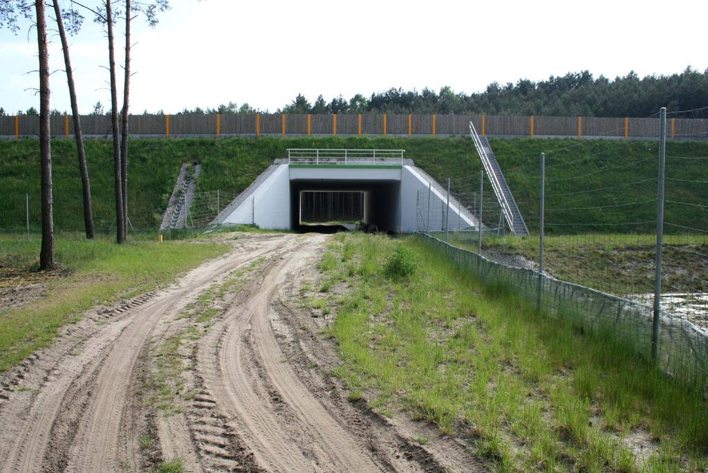 Fot. 14. Przejście dla średnich zwierząt k.