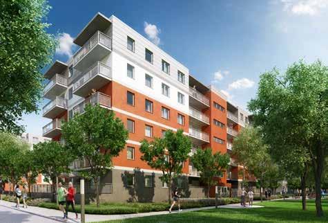 sportowa: klub fitness, boisko