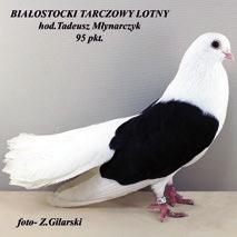 Oficjalnym organizatorem tej wystawy jest Zarząd Główny PZHGRiDI oraz Zarząd Targów Kielce S.A.