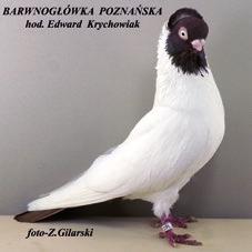 -wystawienniczą w Polsce. Jak widać połączenie naszego hobby z biznesem daje nadspodziewanie dobre rezultaty.