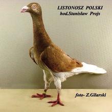 A na ten niewątpliwy sukces złożyło się wiele czynników do, których w pierwszej kolejności zaliczam; położenie geograficzne Kielc i ten właśnie czynnik w momencie oddania do użytku nowoczesnych dróg
