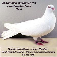 Drugim składnikiem sukcesu są nowoczesne hale wystawowe z doskonałym zapleczem gastronomicznym i sanitarnym oraz wielka przychylność i ogromna pomoc organizacyjna Zarządu Targów Kielce.