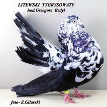 chorób gołębi. Swoje wyroby prezentowała też firma Flornas, producent szerokiej gamy karm dla gołębi.