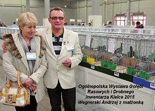 Również jakość wystawianych gołębi bardzo dobra, jest się czym pochwalić.