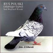 O wielkości tej imprezy świadczy nie tylko ilość wystawionych zwierząt, ale również masowe zainteresowanie hodowców, którzy licznie przybywają obejrzeć wystawę i przy okazji dokonują wymiany lub